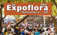 Expoflora Em Holambra – Datas e Ingressos