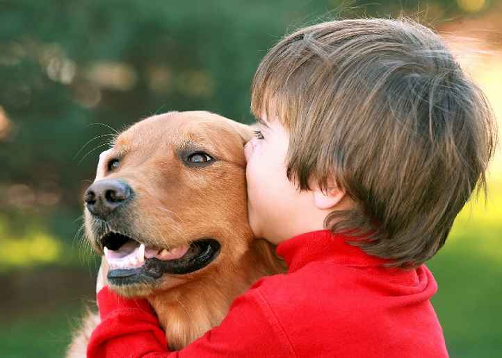 Asma Em Cães – Causas e Tratamento