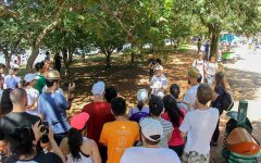 Observação de Pássaros No Ibirapuera Para Crianças – Inscrição