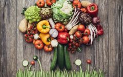 Dieta Plant-Based – Como Fazer