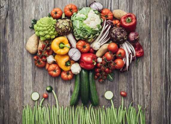 Dieta Plant-Based – Como Fazer