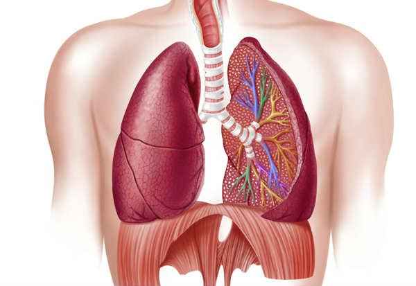 Doença Pulmonar DPOC – Causas