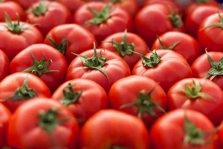 Dieta da Maçã e Tomate – Benefícios ao Pulmão