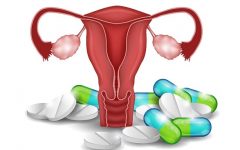 Hormônio Feminino Estrogênio – Como Atua e Falta