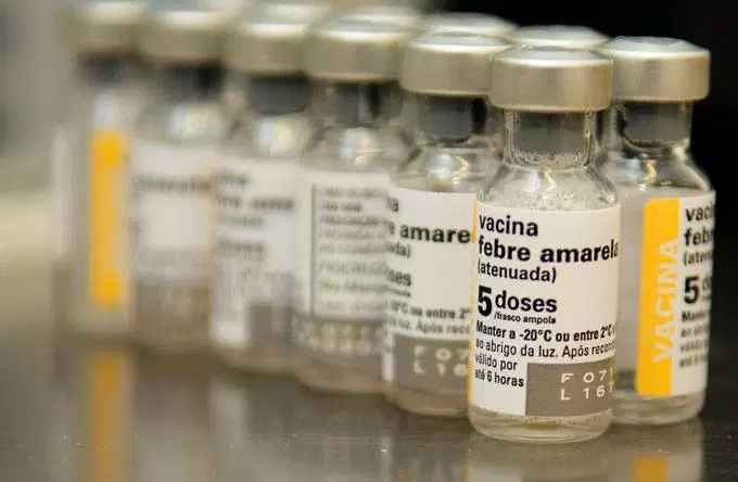 Vacina da Febre Amarela – Quem Não Pode Tomar e Dose Fracionada