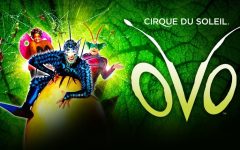Cirque du Soleil No Brasil Em 2019 – Programação