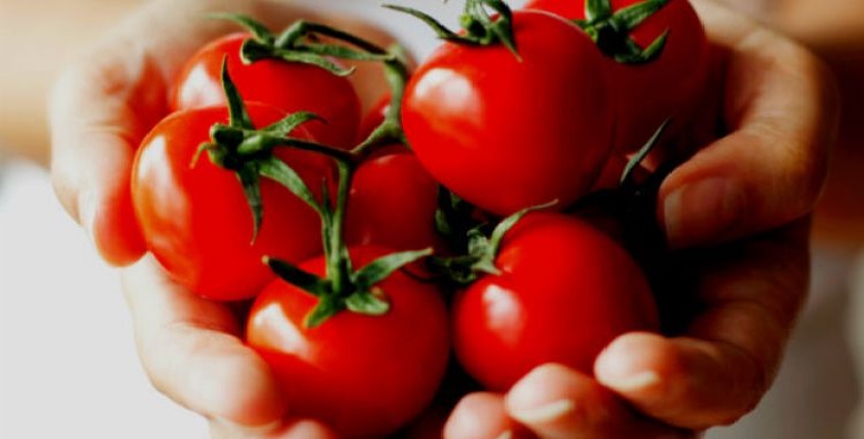 Esfoliante de Tomate – Receita e Como Aplicar