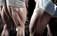 Massa Muscular Nas Pernas – Dicas de Como Ganhar