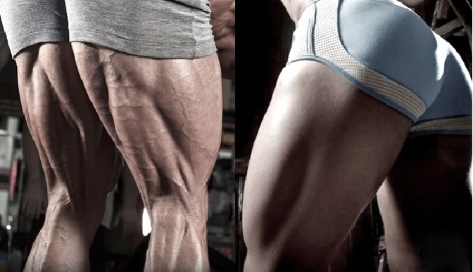 Massa Muscular Nas Pernas – Dicas de Como Ganhar