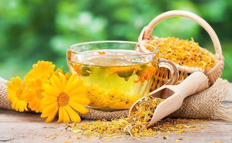 Óleo de Flor Calêndula – Benefícios e Como Usar