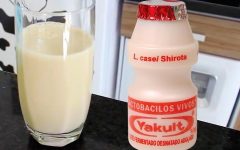 Yakult Caseiro – Receita