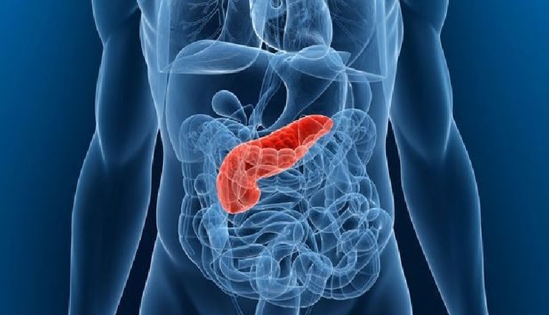 Pancreatite – Sintomas, Causas e Dieta.