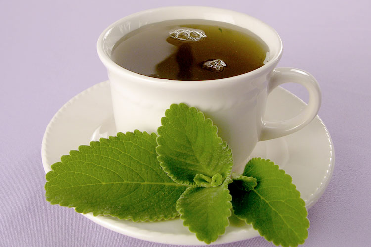 Chá Para Melhor Digestão – Receita